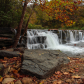 Ozark National Forest