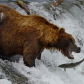 Katmai National Park and Preserve