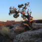 Arches National Park
