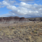 Petrified Forest National Park