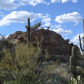 Saguaro National Park