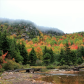 Acadia National Park