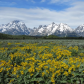 Grand Teton National Park