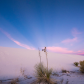 White Sands National Monument