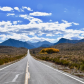 Inyo National Forest 