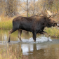 Grand Teton National Park