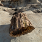 Ah-Shi-Sle-Pah Wilderness Study Area