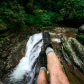 Pisgah National Forest
