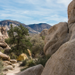 Joshua Tree National Park