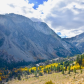 Yosemite National Park