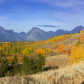 Grand Teton National Park