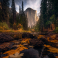 Yosemite National Park