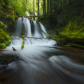 Gifford Pinchot National Forest