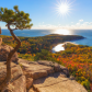 Acadia National Park