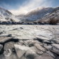 Inyo National Forest 