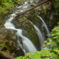Olympic National Park