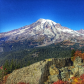 Mount Rainier National Park