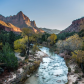 Zion National Park  