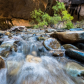 Zion National Park