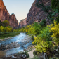 Zion National Park