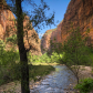 Zion National Park