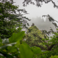 Olympic National Park