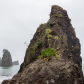Olympic National Park