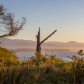 Dungeness National Wildlife Refuge