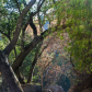 Pinnacles National Park