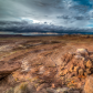 Petrified Forest National Park