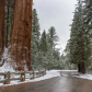 Kings Canyon National Park