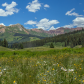 Gunnison National Forest