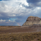 Petrified Forest National Park