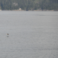 Kenai Fjords National Park