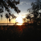 Osceola National Forest