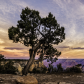 Grand Canyon National Park