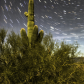 Tonto National Forest