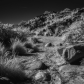 Tonto National Forest