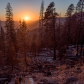 Yosemite National Park
