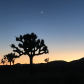 Joshua Tree National Park
