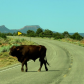 Bears Ears National Monument