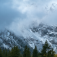 National Elk Refuge