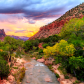 Zion National Park