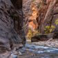Zion National Park