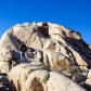 Joshua Tree National Park