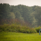 Valley Forge National Historical Park