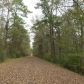 Great Dismal Swamp National Wildlife Refuge