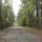 Great Dismal Swamp National Wildlife Refuge