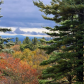 Blue Ridge National Parkway