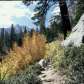Inyo National Forest 